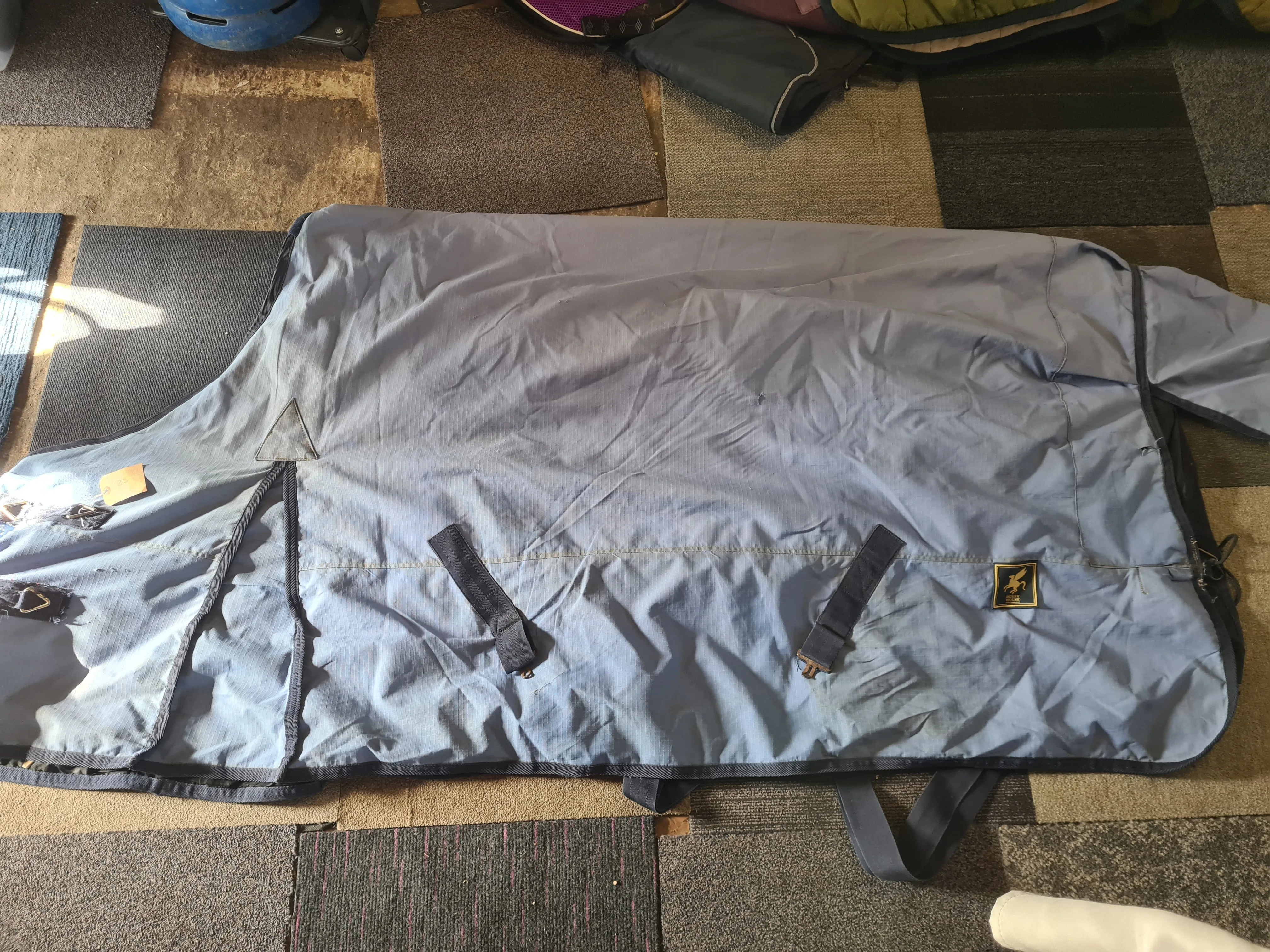 6'3 baby blue, derby house, medium turnout