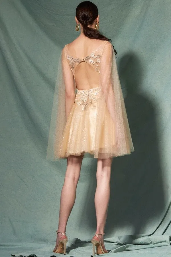 Fairy