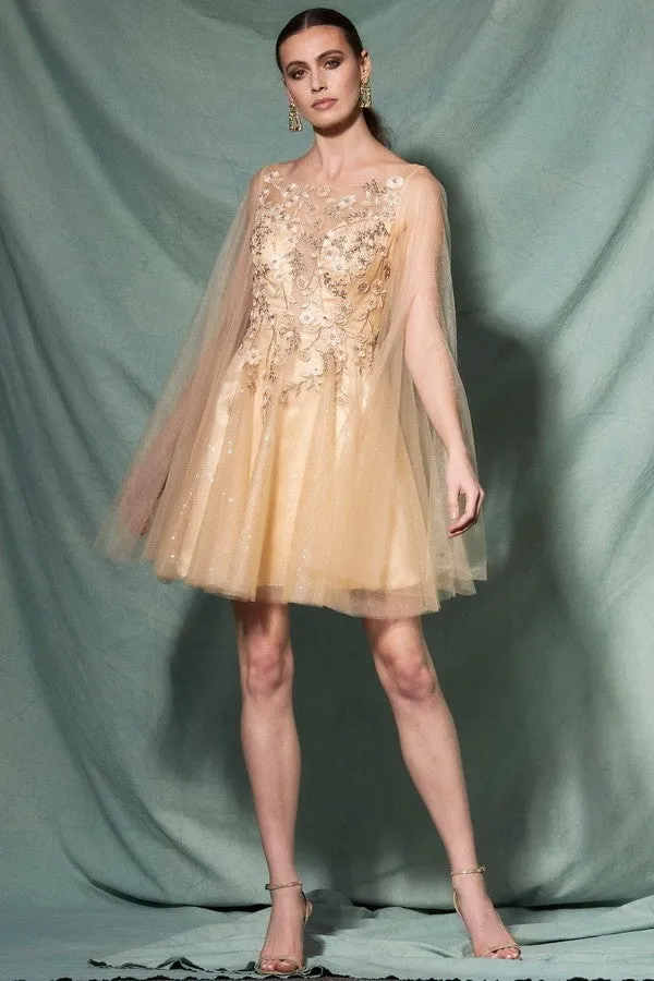 Fairy