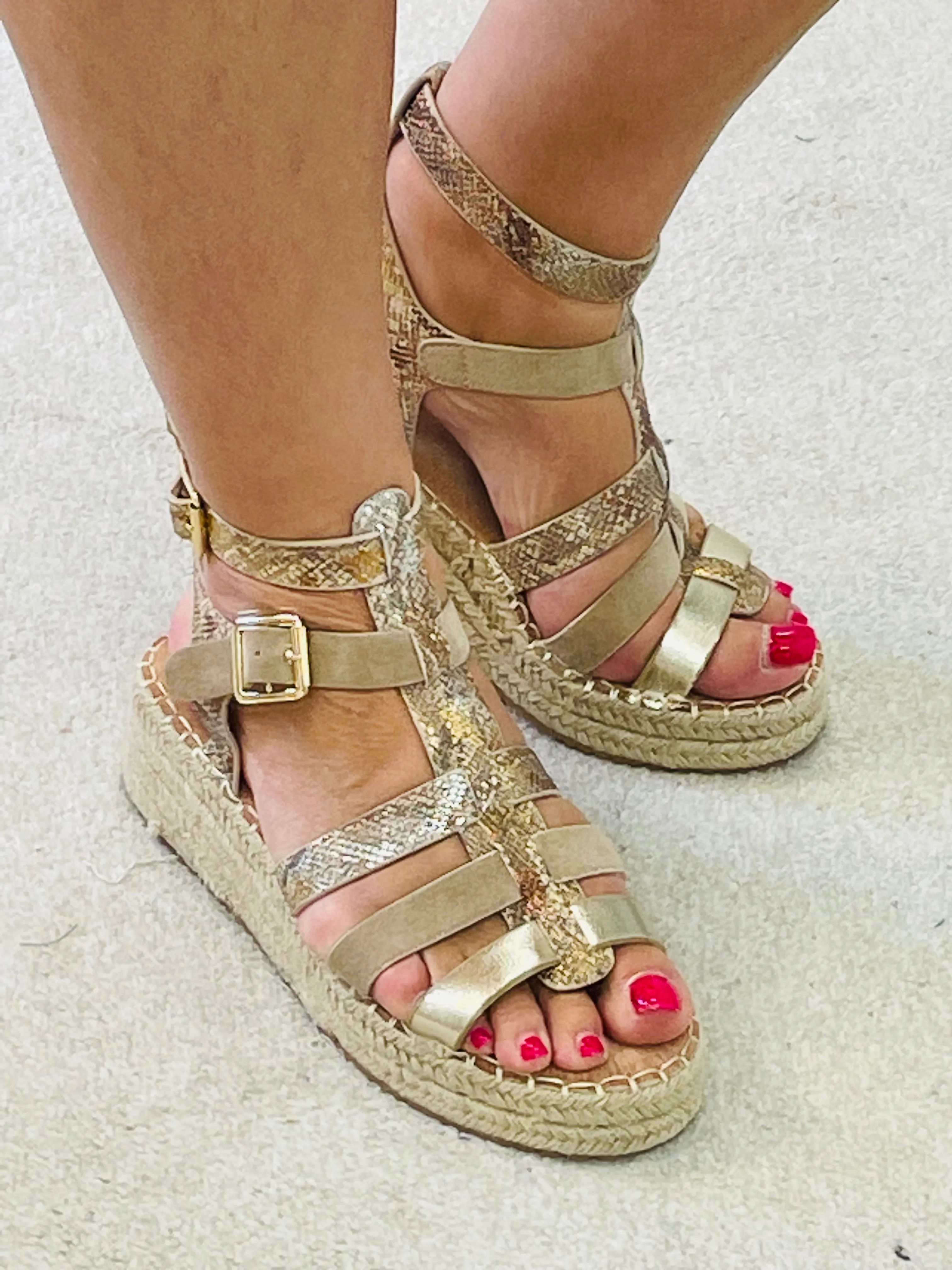 GLADIATOR SMALL WEDGE SANDALS ( H8 502 ) sizes 3 to 8