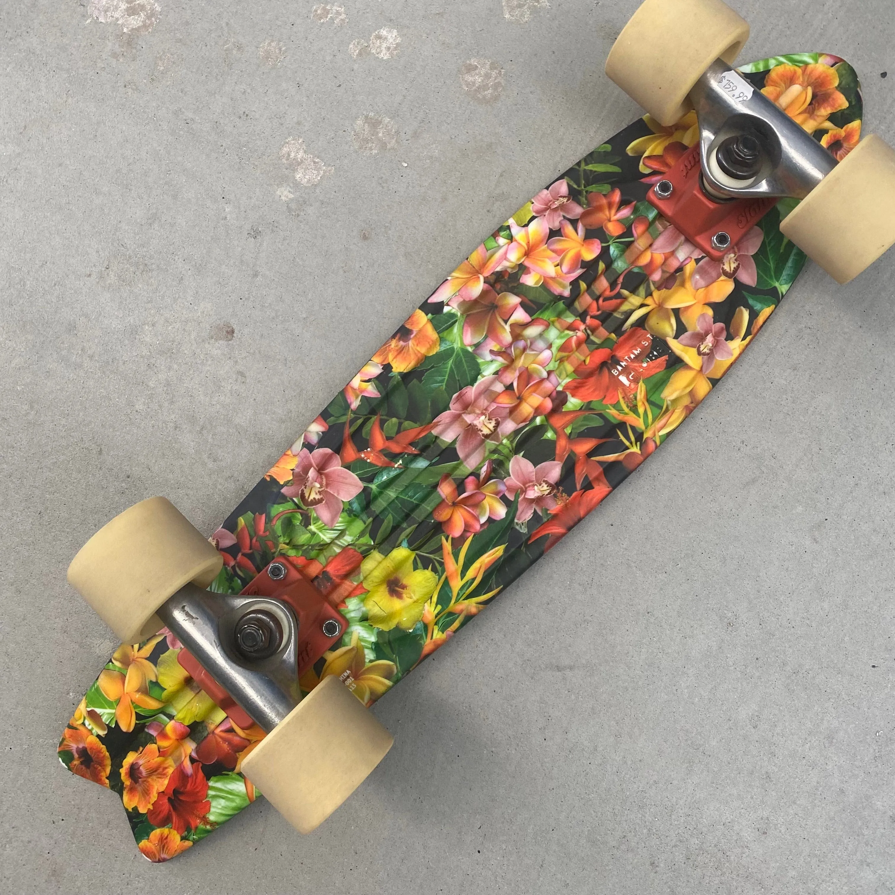 Globe 22" Bamtan Cruisers