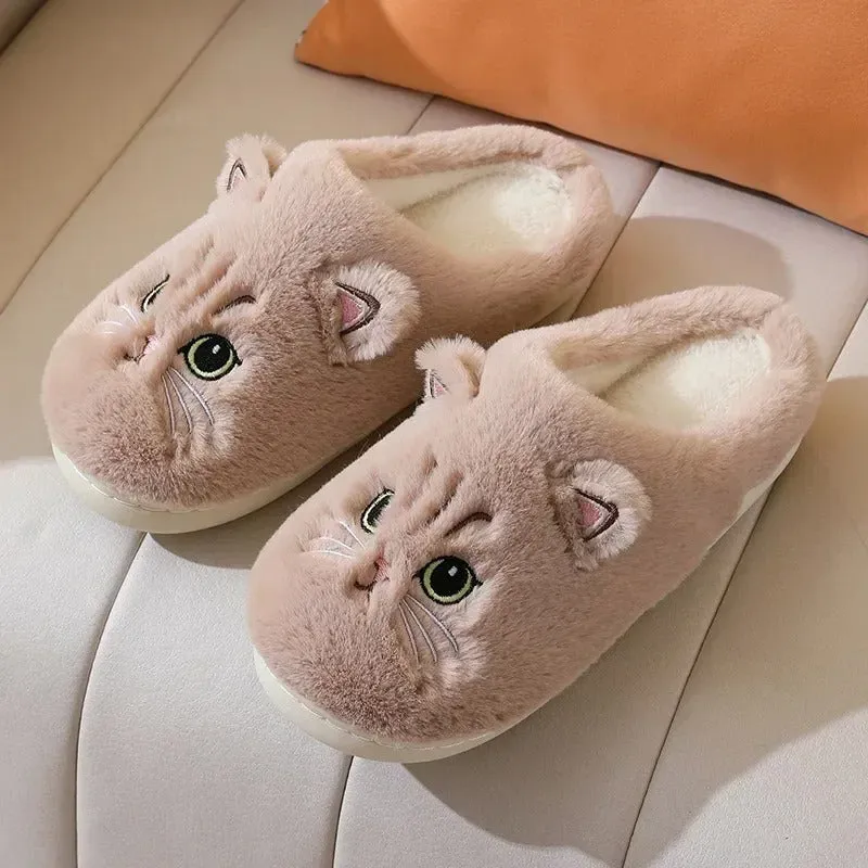 Little cat slipper