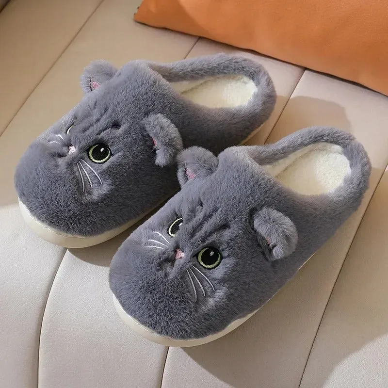 Little cat slipper