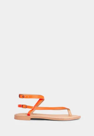 Olive - Orange