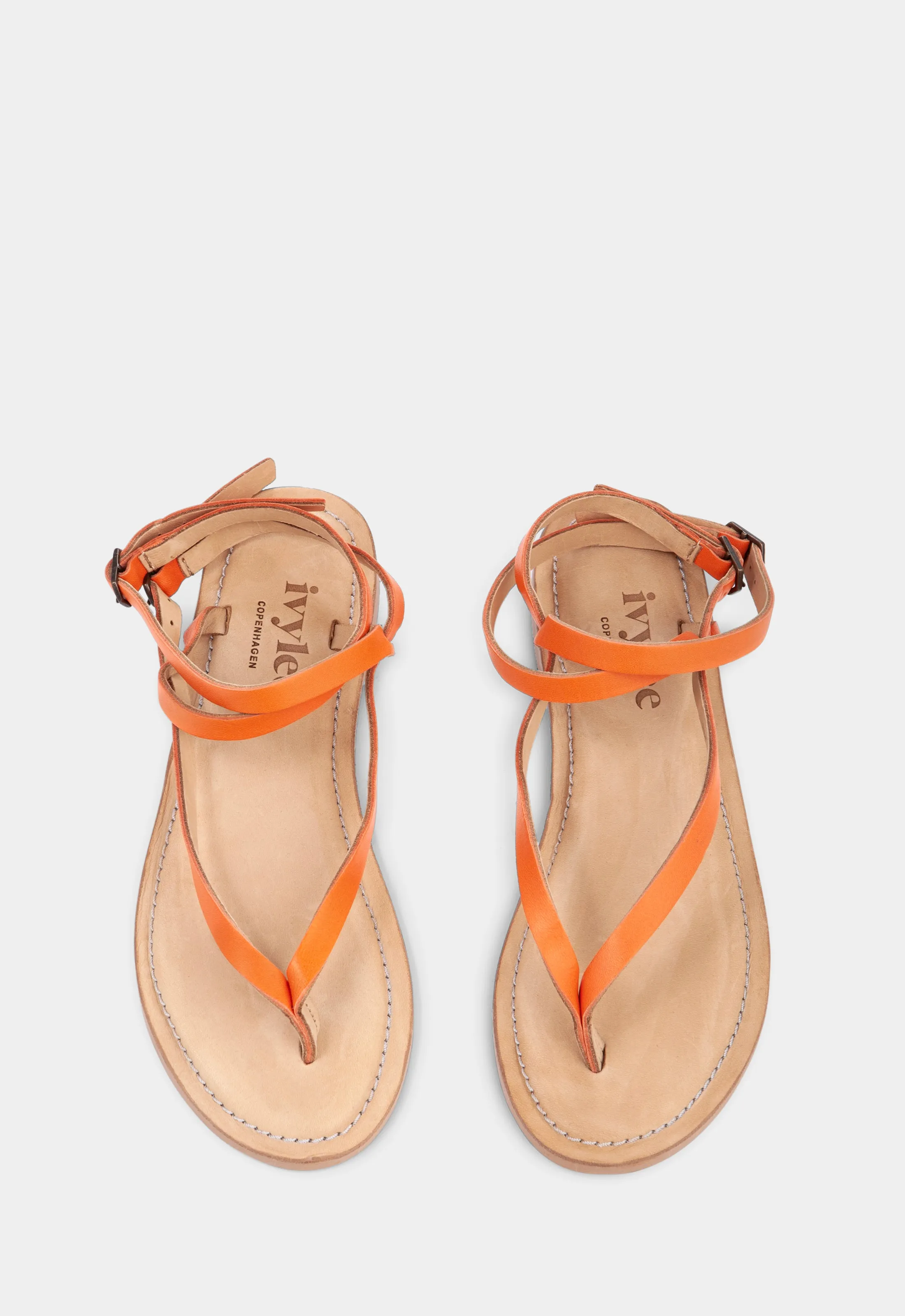 Olive - Orange