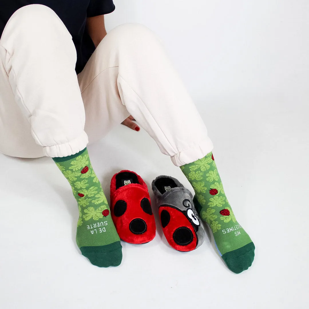Pack Calcetín "Mis calcetines de la suerte"   Slippers Mariquita Gris y Rojo