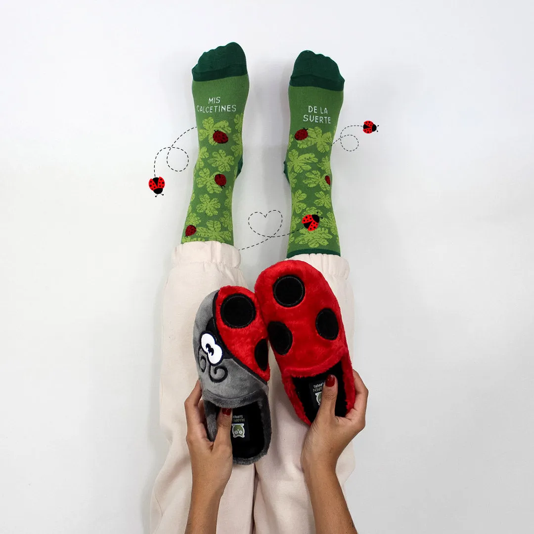 Pack Calcetín "Mis calcetines de la suerte"   Slippers Mariquita Gris y Rojo