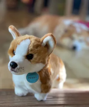 Penny the Corgi Plush