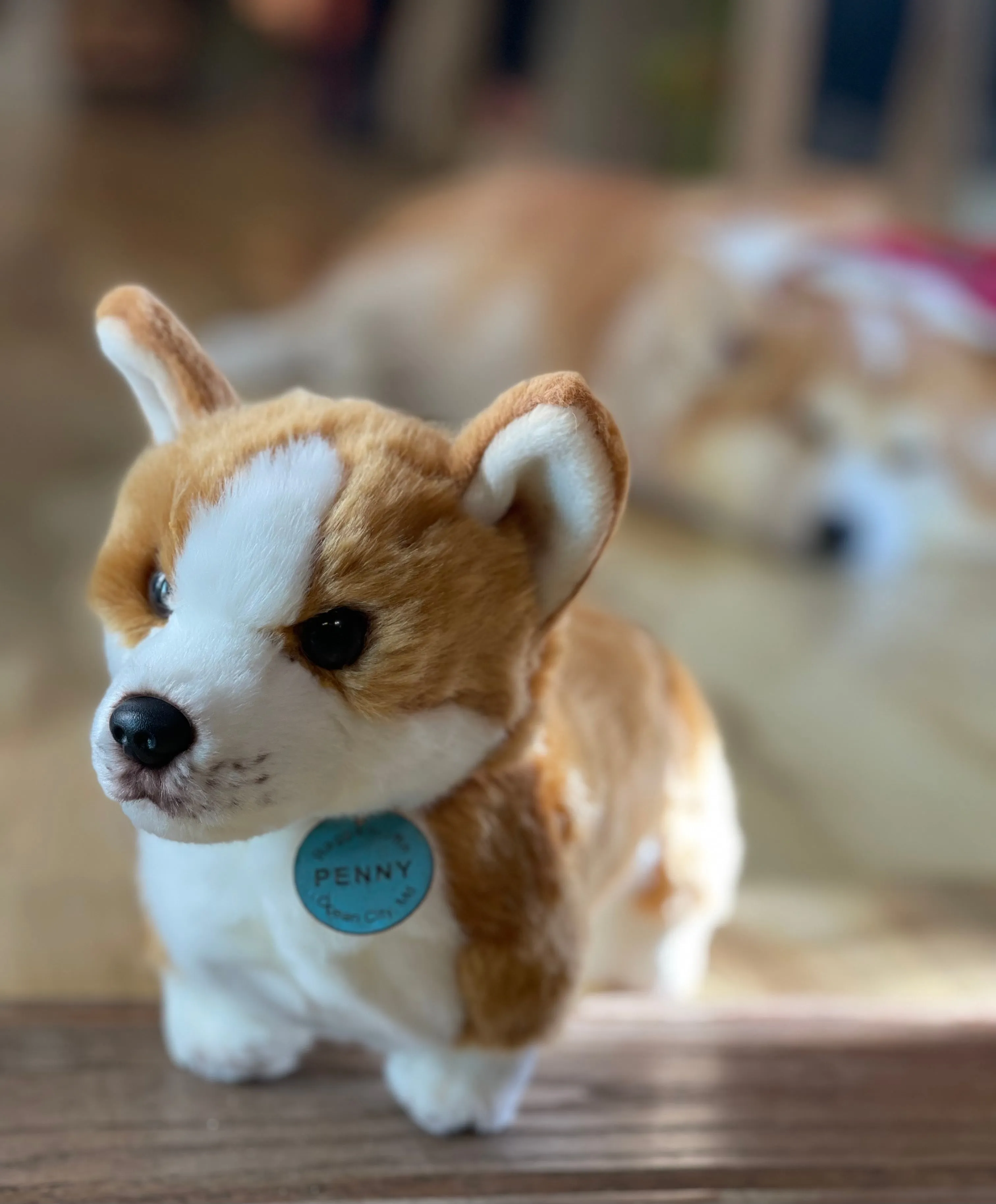 Penny the Corgi Plush