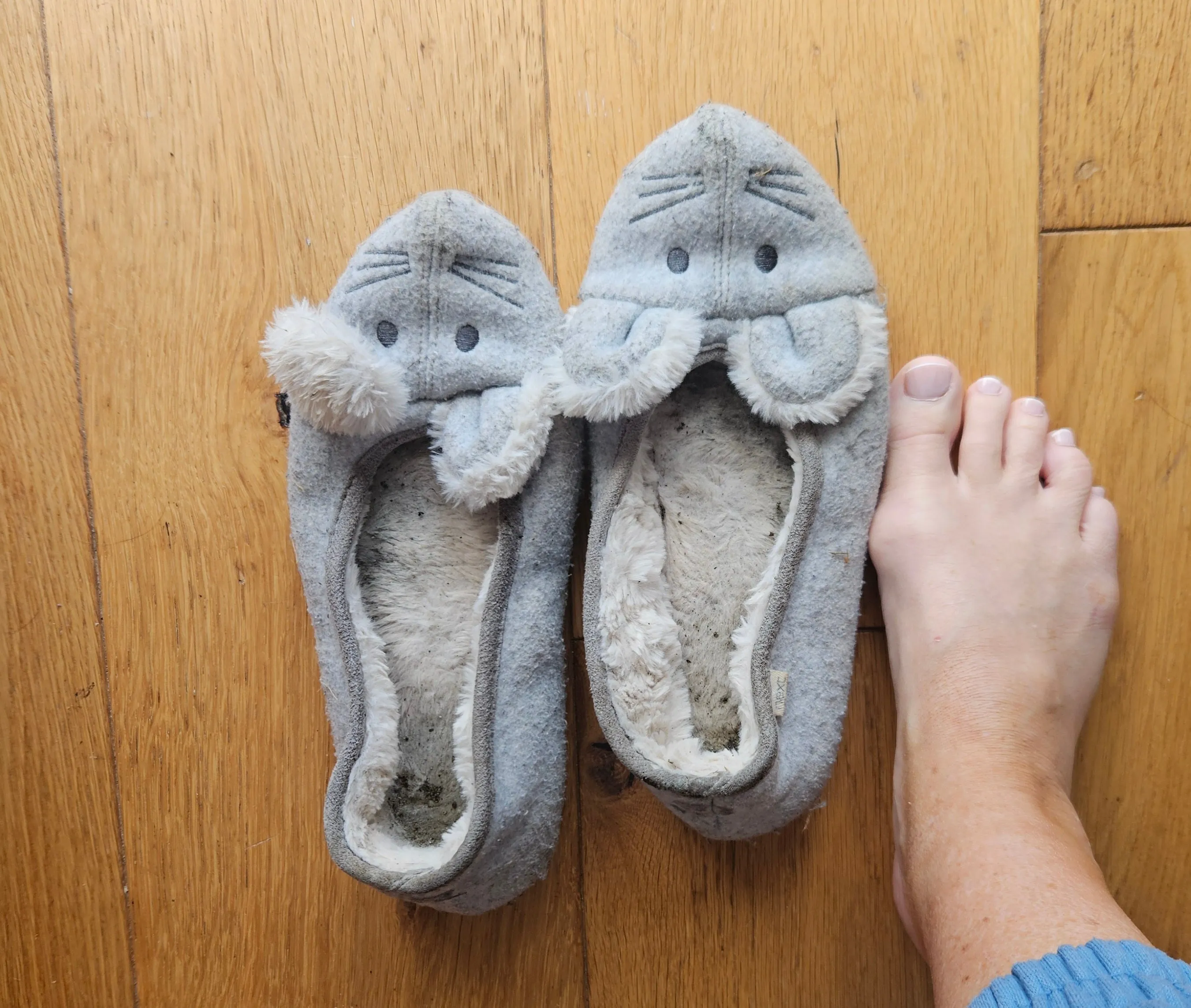 Stinky dirty and heavily worn slippers, UK 5/6