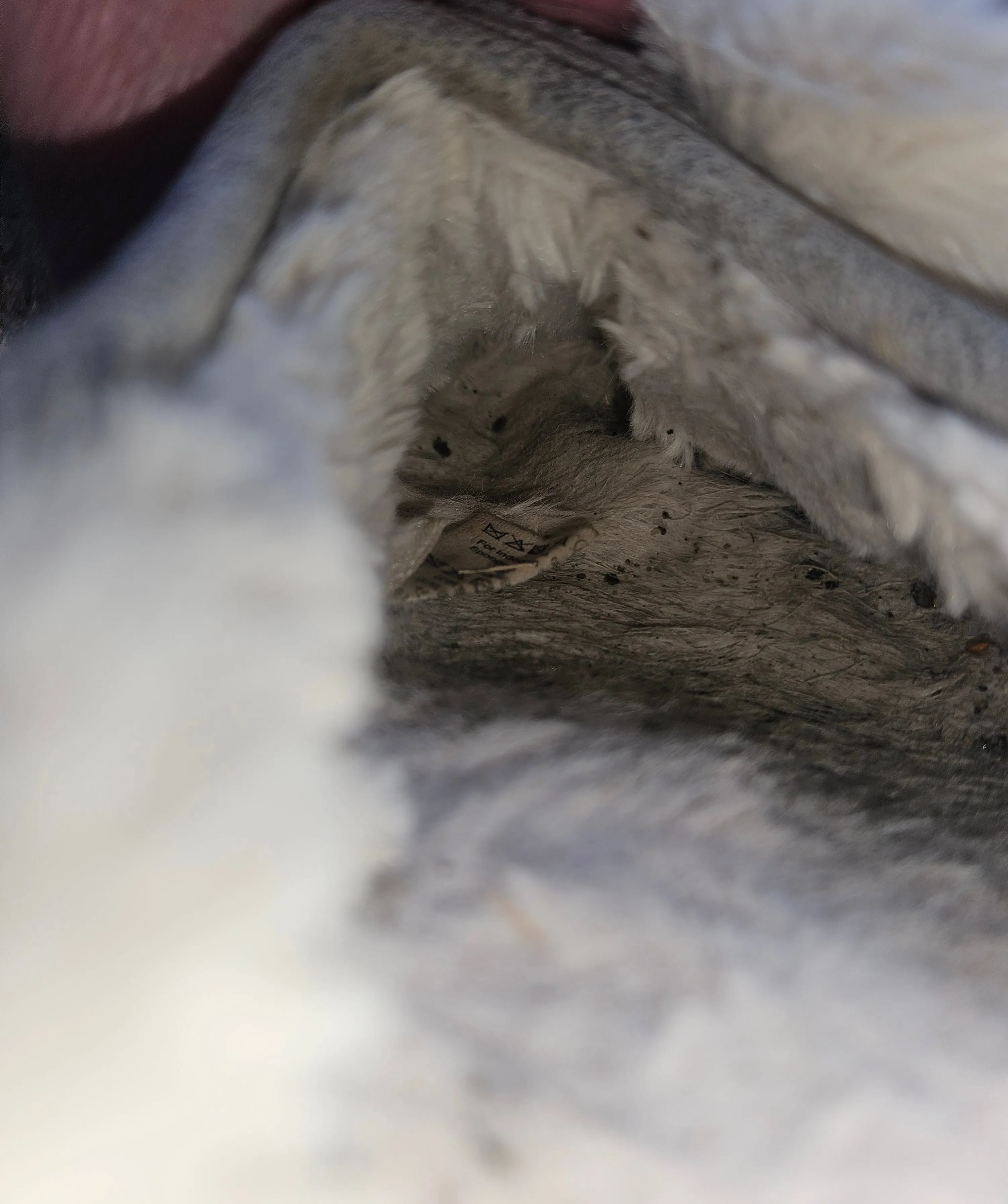 Stinky dirty and heavily worn slippers, UK 5/6