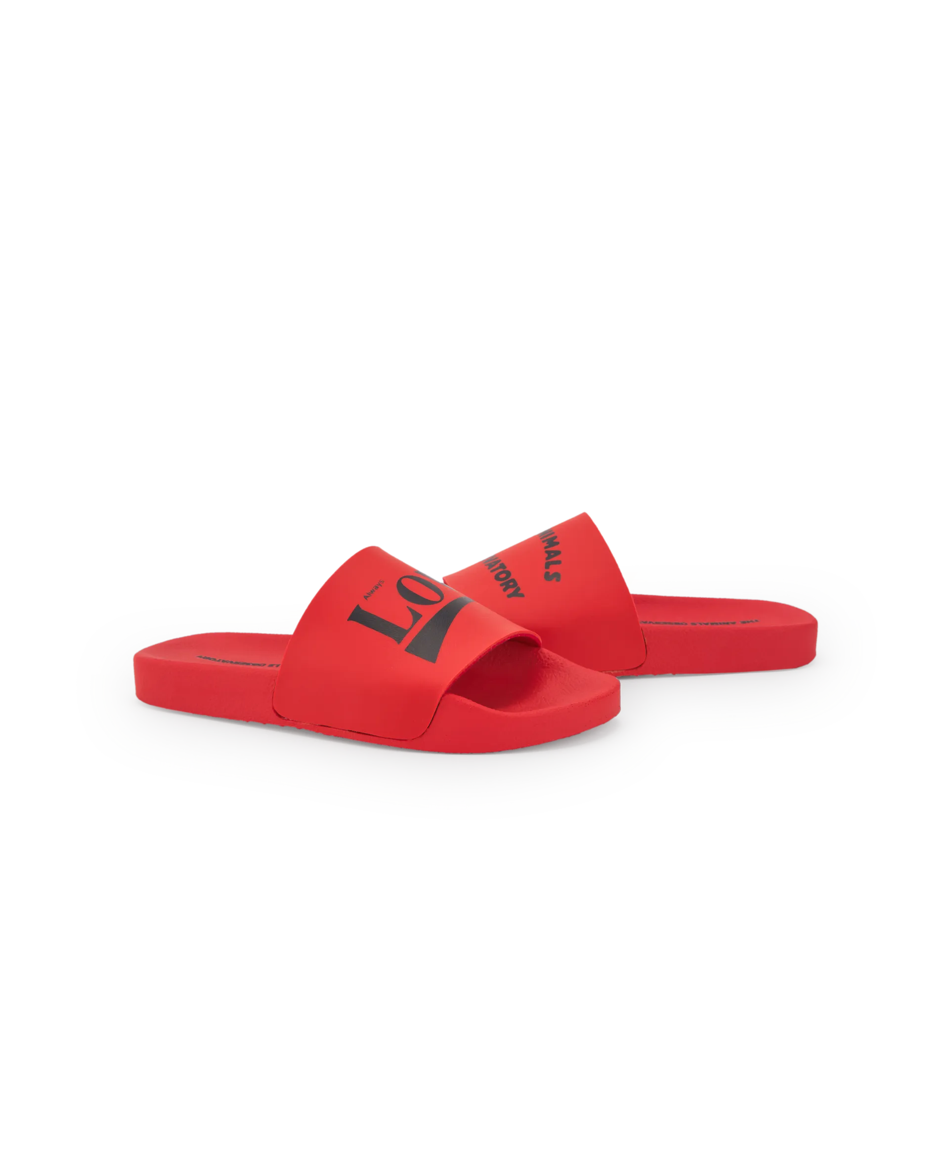 The Animals Observatory | Flip-Floops Kids Shoes SS25
