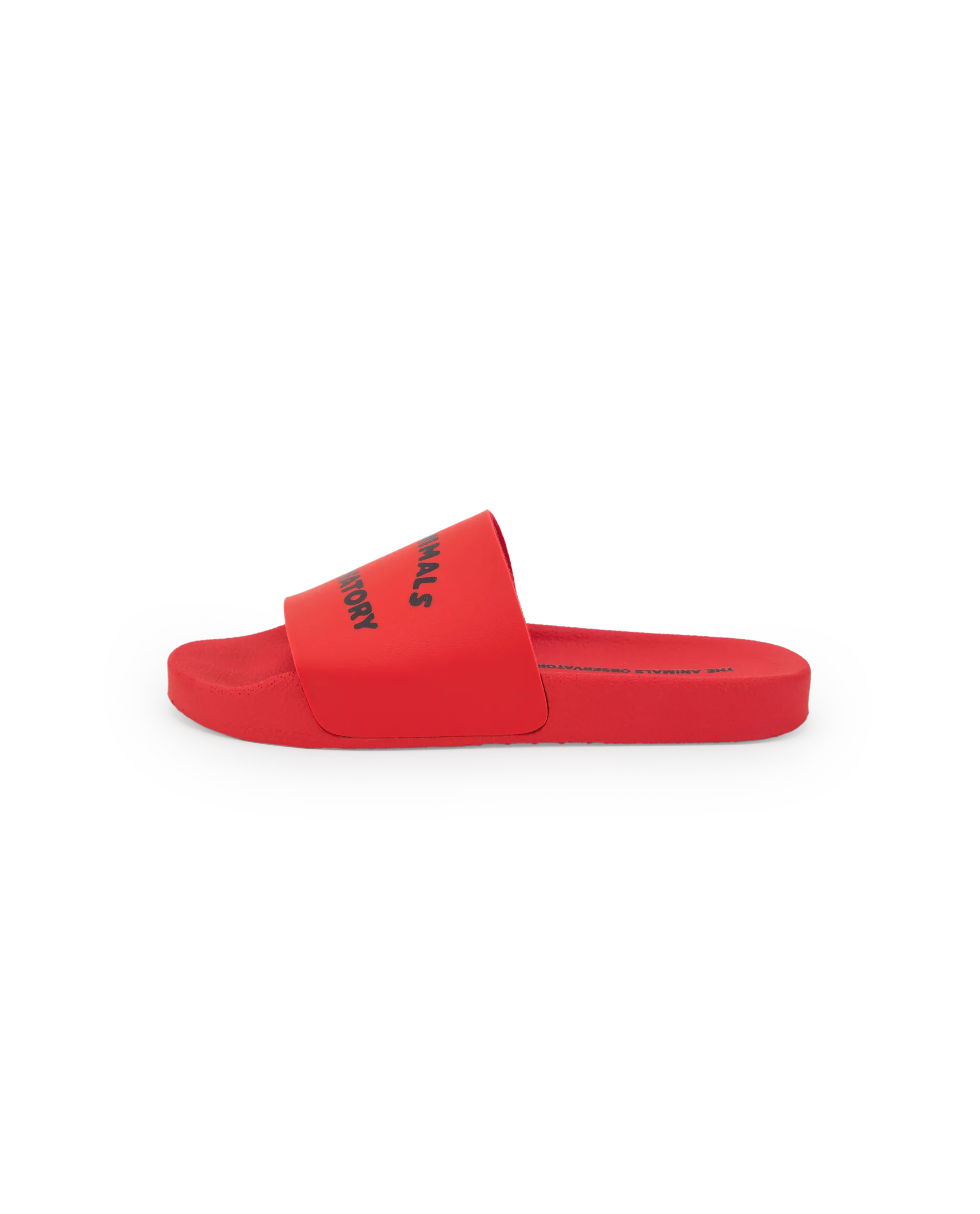 The Animals Observatory | Flip-Floops Kids Shoes SS25