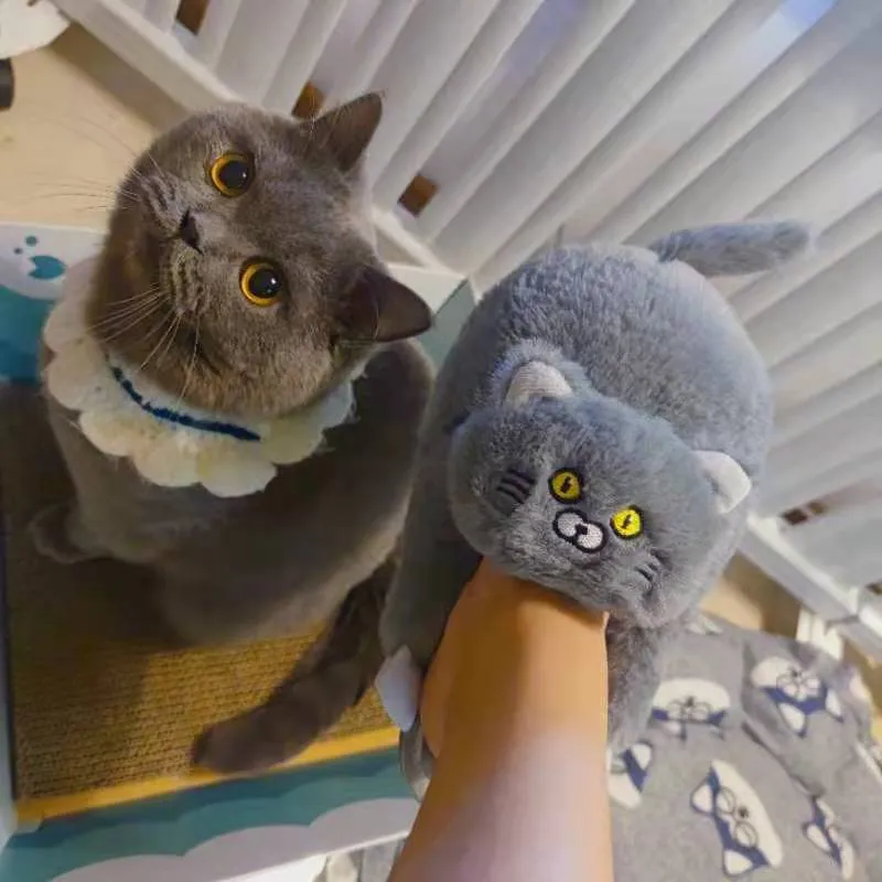 Winter Cat Plush Slippers for Adults: Unisex